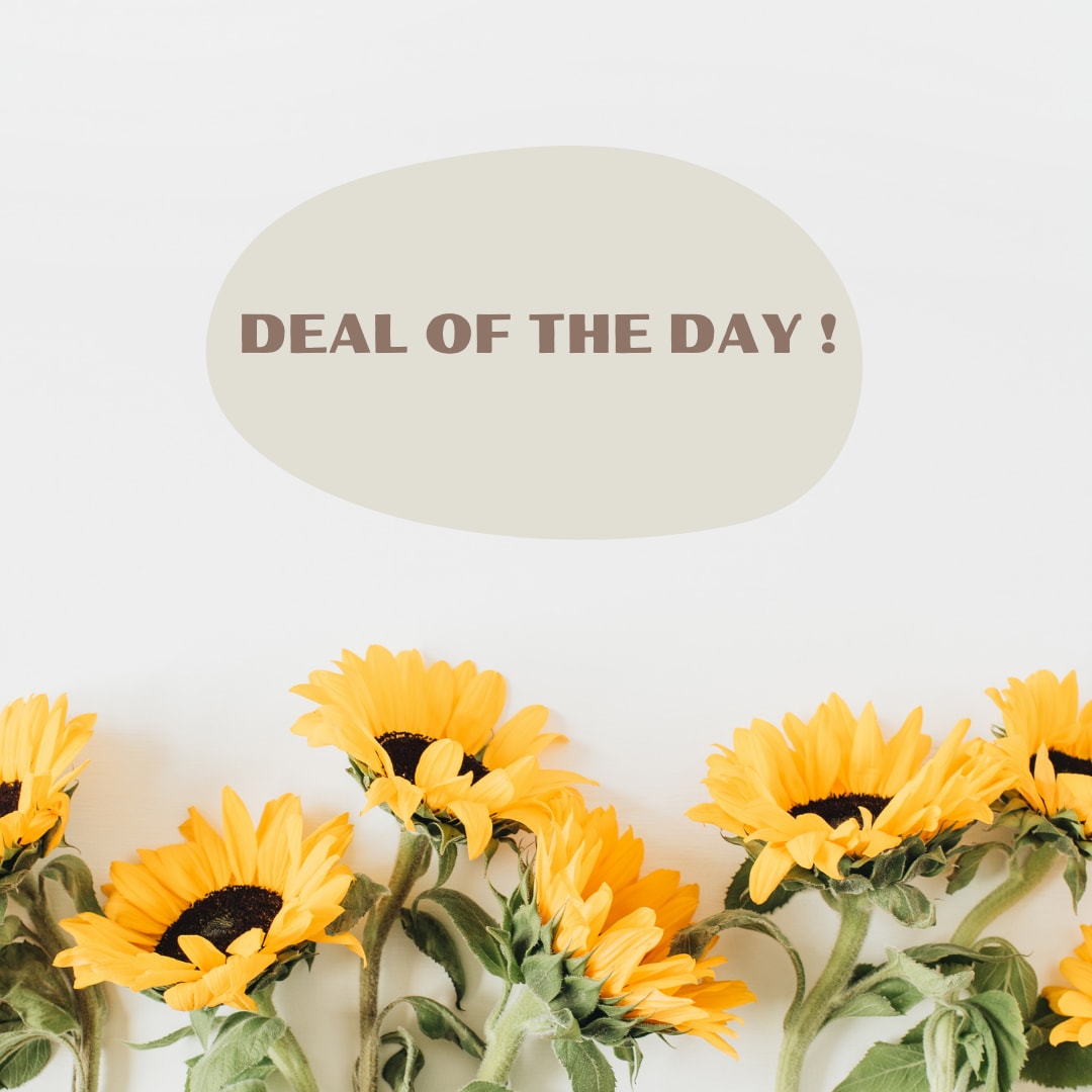 Clinton Florist Flower Delivery by Clinton Floral